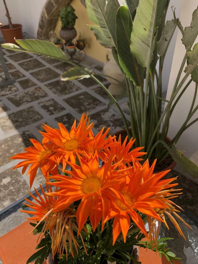 Corte La Rosa Nardò Kültér fotó